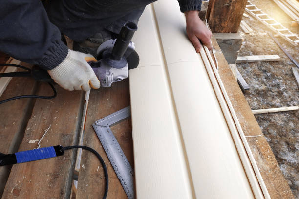 Best Custom Trim and Detailing for Siding  in Rio, VA
